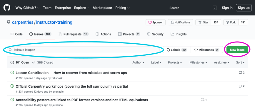 GitHub Repo issues tab